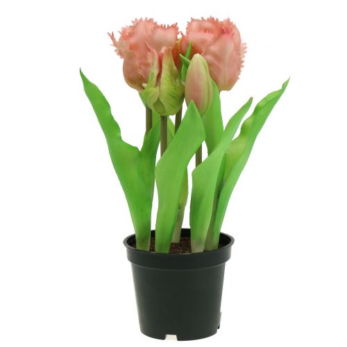 Floristik24 Papoušek tulipán Real-Touch v květináči růžový 23cm