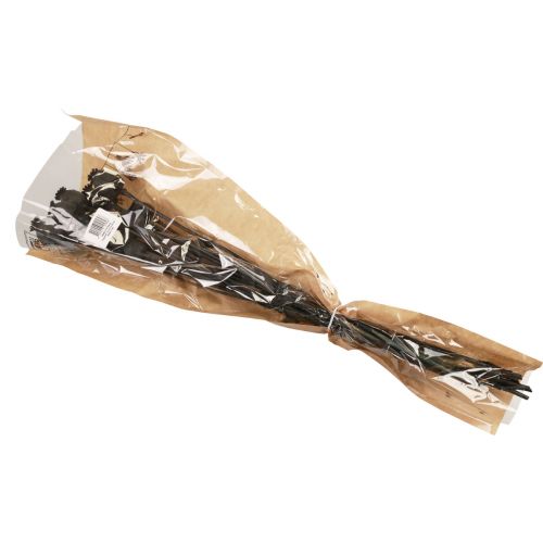 Floristik24 Sušené květy mák tobolky sušené Černý papaver 80g