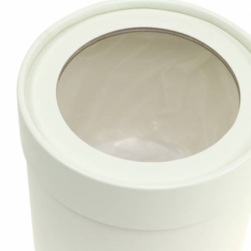 položky Květinová krabička kulatá kartonová krémová Ø10/12cm sada 2 ks