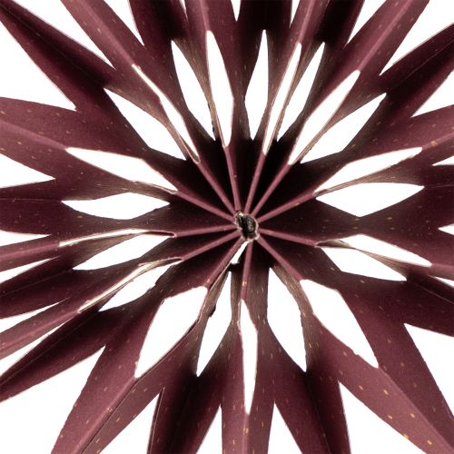 položky Papírové hvězdy, bordó růžové, k zavěšení, Ø10cm, 4 kusy