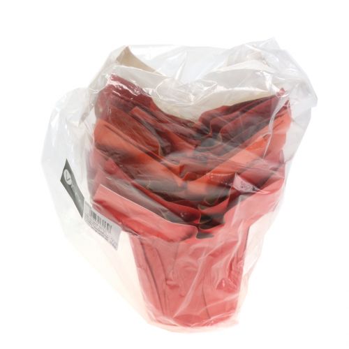 Floristik24 Květináč papírový oranžový / červený Ø8cm 12ks