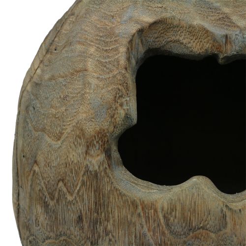 položky Dekorativní sochařská rostlinná koule ze dřeva paulovnie H68cm