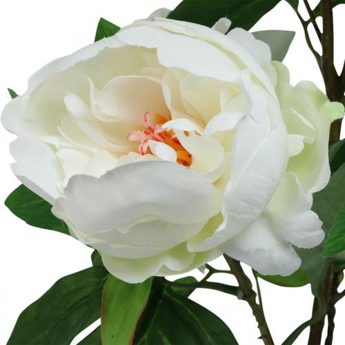položky Paeonia umělá, pivoňka v květináči, dekorativní rostlina bílé květy V57cm