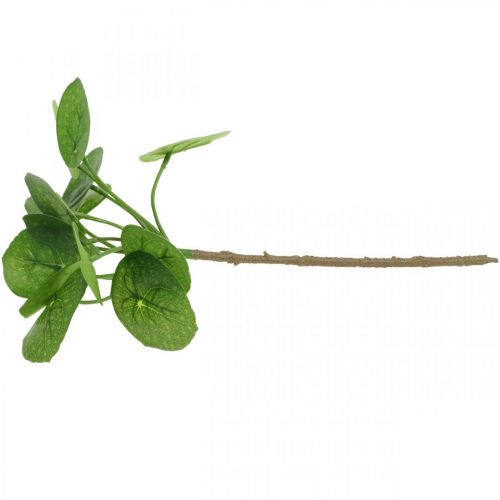 Floristik24 Peperomia Umělá zelená rostlina s listy 30cm