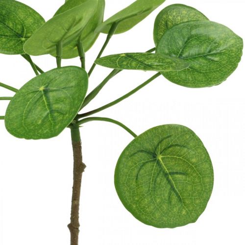 položky Peperomia Umělá zelená rostlina s listy 30cm