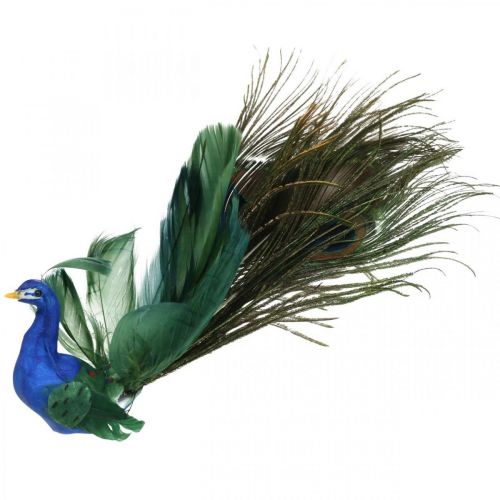 Floristik24 Ráj, páv na svorku, ptáček z peříčka, ptačí dekorace modrá, zelená, barevná V8,5 L29cm