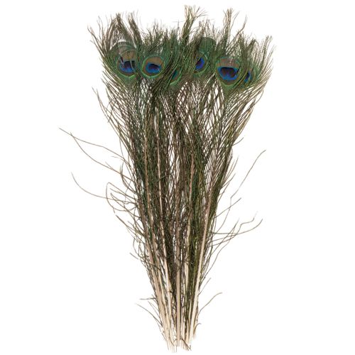 položky Paví pera, pravá ptačí pera k tvoření a zdobení, 55 cm, 10 kusů