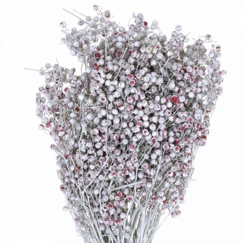 Floristik24 Bobule papriky sněžné, zimní dekorace, sušené květiny, advent, růžový pepř praný bílý 170g