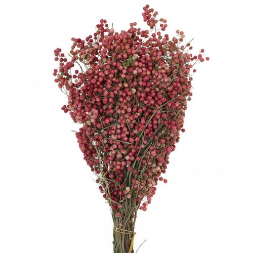 Floristik24 Bobule pepře, sušené květy, advent, růžový pepř, zimní dekorace L40–45cm 200g