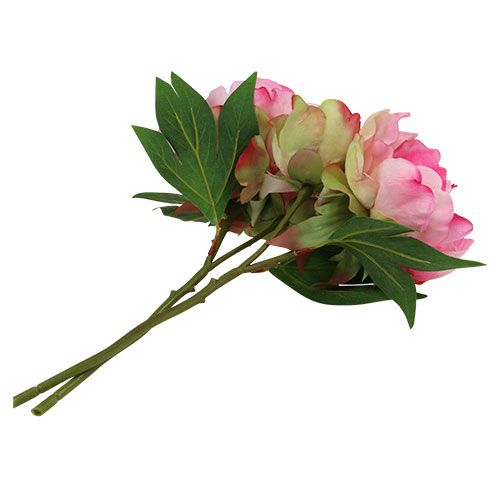 Floristik24 Pivoňky s poupatem růžové L30cm 2ks
