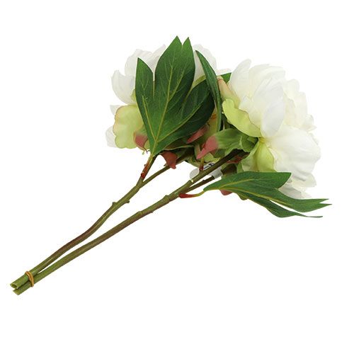 Floristik24 Pivoňky s poupatem bílá L30cm 2ks