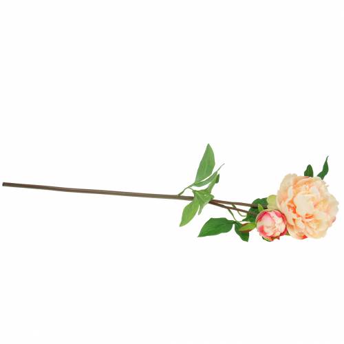 Floristik24 Pivoňka s květem a poupatem umělá broskev 70cm
