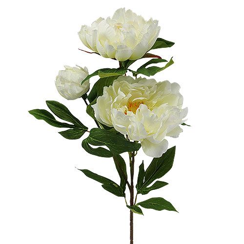 Floristik24 Pivoňka umělé květiny krémová L70cm