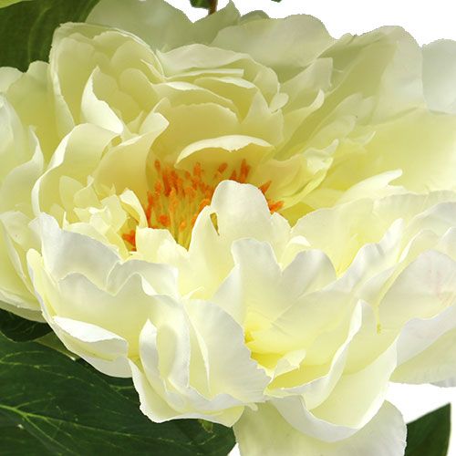 Floristik24 Pivoňka umělé květiny krémová L70cm