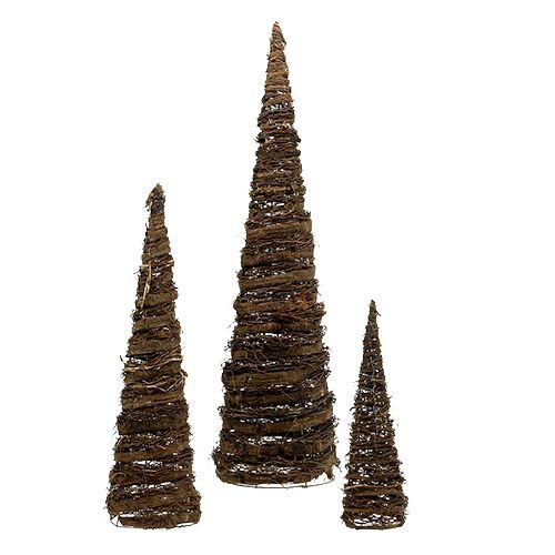 Floristik24 Rostlinné šišky přírodní sada 3 ks 40x10/60x15/80x20cm