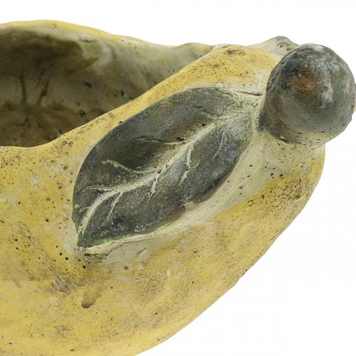 položky Hruška na výsadbu, podzimní dekorace, betonová nádoba L19cm H15,5cm
