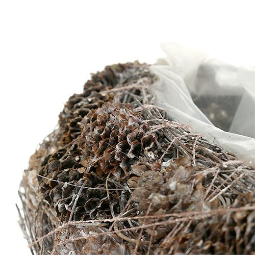 Floristik24 Rostlinné srdce ze šišek 29cm x 20cm bílené 2ks