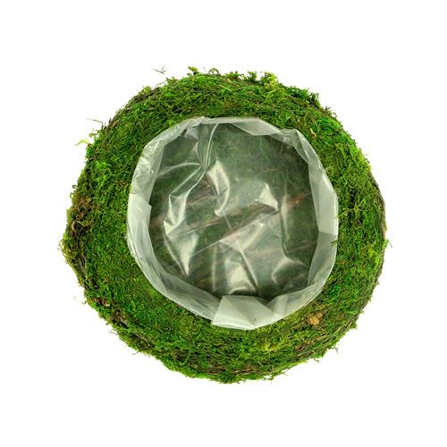 Floristik24 Miska na rostliny mechové větve Ø20cm