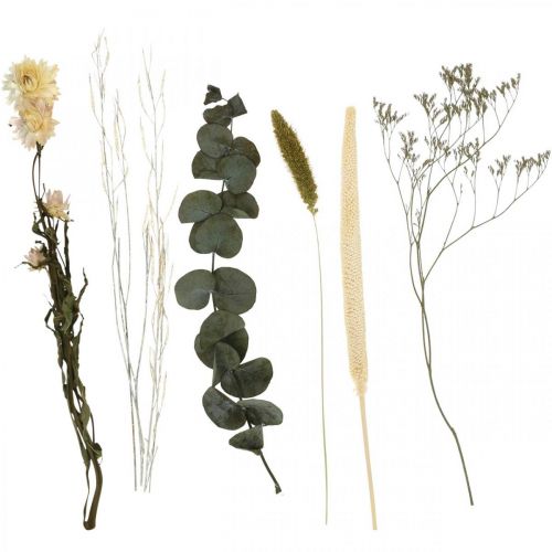 Floristik24 Sušené květiny kytice eukalyptus sada suchého květinářství V30-35cm