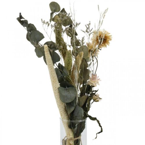 Sušené květiny kytice eukalyptus sada suchého květinářství V30-35cm