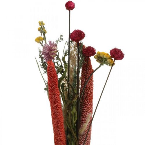 Floristik24 Kytice ze sušených květin s lučními květy růžová DIY sada V30-35cm