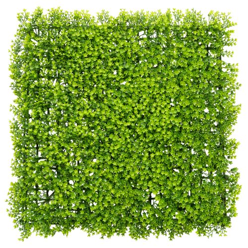 Umělá podložka z buxusu 55x55 cm pro dekorativní nástěnný design nakoupit | Floristik24.cz