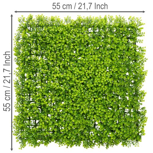Umělá podložka z buxusu 55x55 cm pro dekorativní nástěnný design | Floristik24.cz