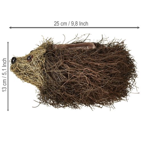 položky Květináč na ježka z vinné révy 22 cm x 25 cm