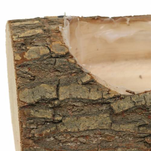 Floristik24 Květináč jilmové dřevo 20 cm x 11 cm V9 cm
