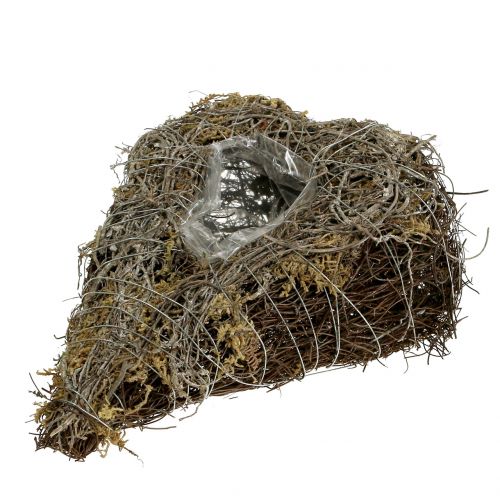 Floristik24 Rostlinné srdce z vinné révy a lišejníku příroda 25cm x 19cm