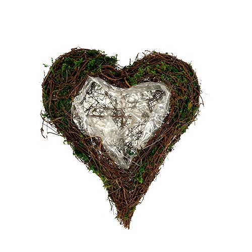 Rostlina srdce liána, mech 22 cm x 25 cm V7 cm