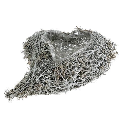 položky Výsadbové srdce révy bílé srdce k výsadbě 38×32×7,5cm