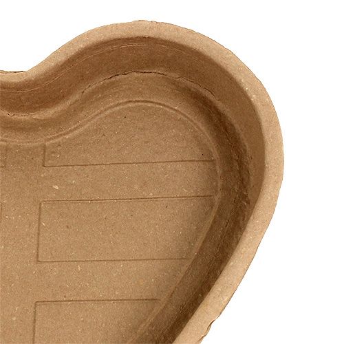 Floristik24 Rostlinné srdce 35 cm uzavřené kompostovatelné