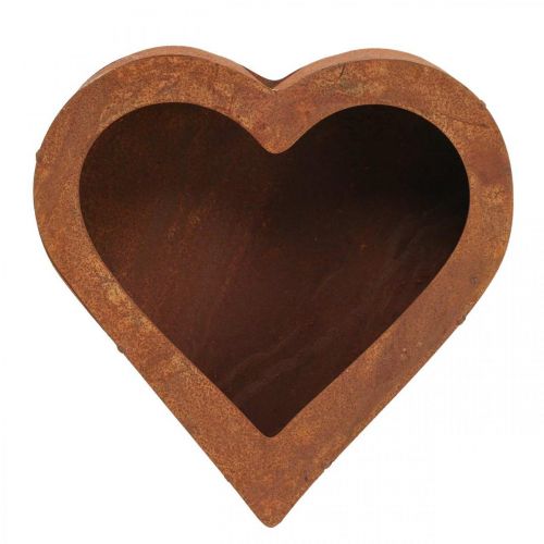Rostlinné srdce kovové patina dekorativní květináč kovový 20×20×5cm