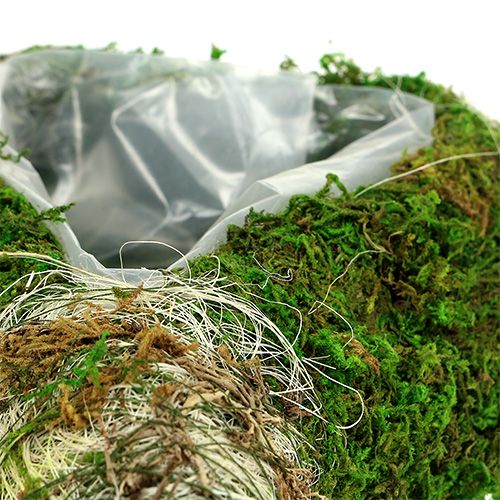 Floristik24 Rostlinný srdíčkový mech 35cm x 25cm