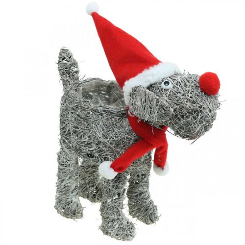 položky Pejsek na výsadbu, vánoční dekorace, košík na rostliny, adventní V30cm L29,5cm