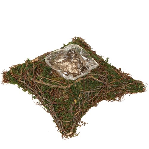 Rostlinný polštář, miska z mechu, přírodní 20×20×6,5 cm