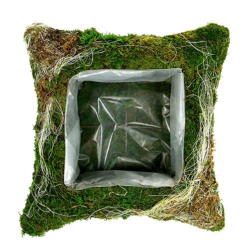 Floristik24 Rostlinný polštářek mech 25cm x 25cm 2ks