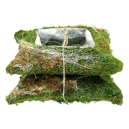 Floristik24 Rostlinný polštářek mech 25cm x 25cm 2ks