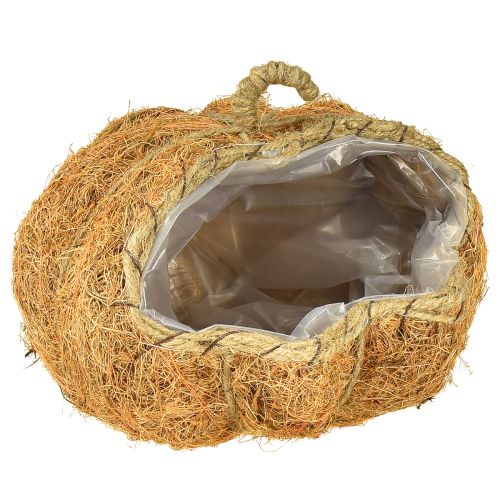 Košík s rostlinami dýně podzimní dekorace oranžová Ø22cm V17cm