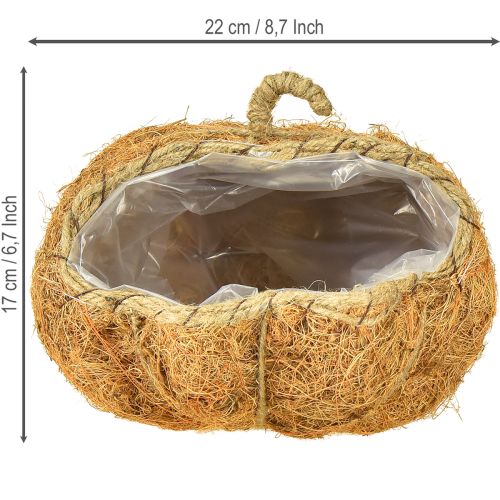 položky Košík s rostlinami dýně podzimní dekorace oranžová Ø22cm V17cm