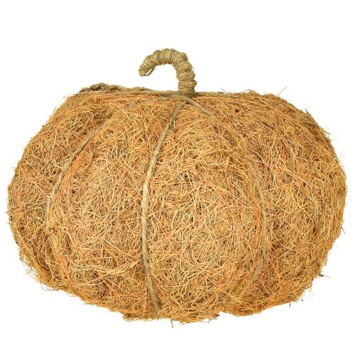 položky Košík s rostlinami dýně podzimní dekorace oranžová Ø22cm V17cm