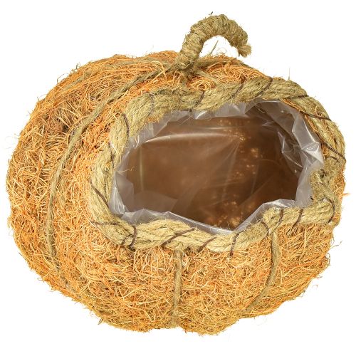 Rostlinný košík dýně s fólií podzimní dekorace oranžová Ø18cm V15cm