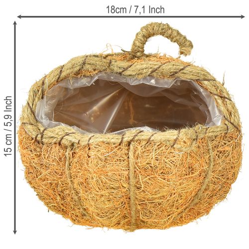 položky Rostlinný košík dýně s fólií podzimní dekorace oranžová Ø18cm V15cm