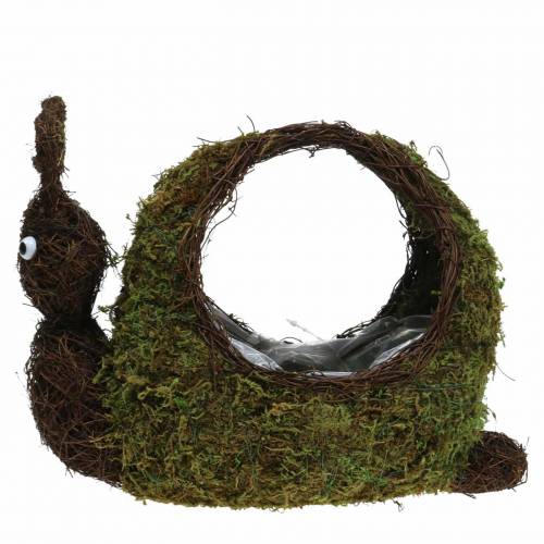 Floristik24 Košík na rostliny šnek mech hnědý 29x13cm V23cm