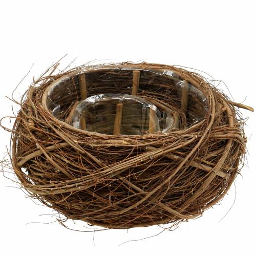 Floristik24 Košík na rostliny vinná réva a větvičky přírodní Ø37 / 28cm, sada 2 ks