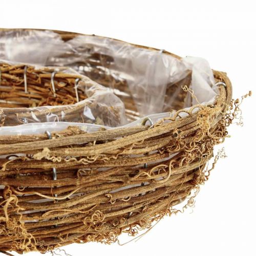 Floristik24 Kruh na vinnou révu, miska na rostliny Ø35/30 cm sada 2 ks