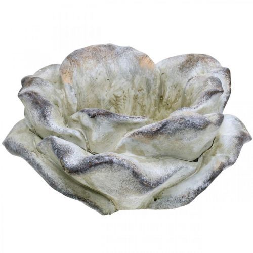 Betonová růže, zahradní dekorace, rostlinná růže, pohřební květiny šedá, meruňka, fialová Ø12cm L26,5cm H11cm
