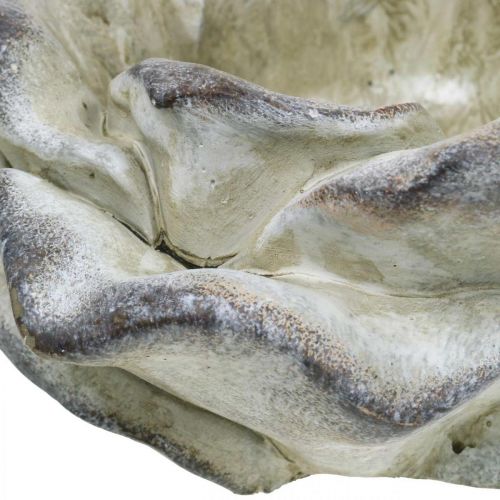 Floristik24 Betonová růže, zahradní dekorace, rostlinná růže, pohřební květiny šedá, meruňka, fialová Ø12cm L26,5cm H11cm