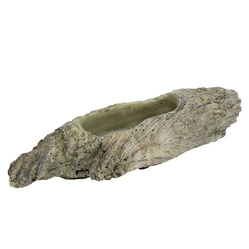 Floristik24 Květinová miska na sukulenty 24,5 cm x 8,5 cm V5,5 cm